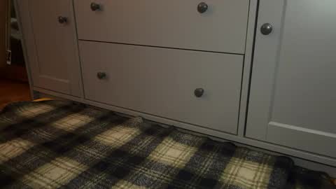 Snapshot of wookmortyy chatting on December 21, 4:25 pm Sage online show from December 21, 4:25 pm