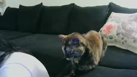 Crystal Lake online show from October 15, 6:35 am