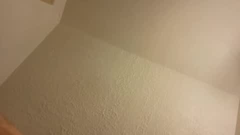 BONER DONOR online show from October 25, 11:40 am