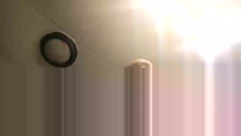 BONER DONOR online show from February 26, 10:14 am