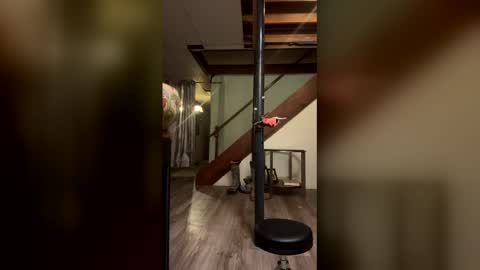 Snapshot of wyattmcc32288 chatting on March 2, 8:10 am wyattmcc32288 online show from March 2, 8:10 am