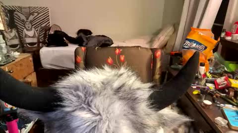 xander0zzz online show from March 13, 5:58 am