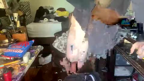 xander0zzz online show from March 28, 1:43 pm