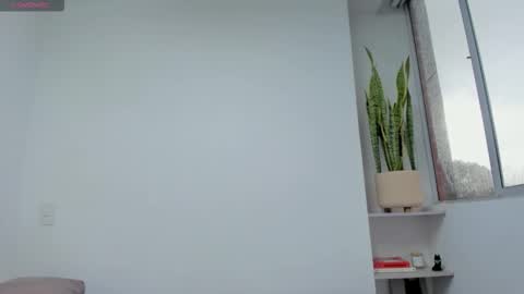 Xavier online show from November 18, 7:40 pm