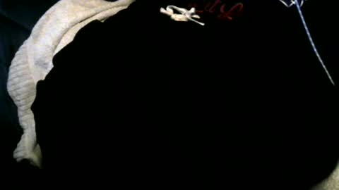 Toke online show from December 12, 6:57 am