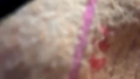 dani3 online show from November 23, 2:55 am