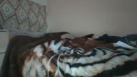 Snapshot of xorner1 chatting on December 7, 12:13 pm Horny hotty online show from December 7, 12:13 pm