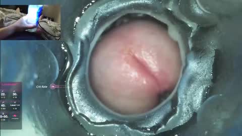 Snapshot of xoxowtf chatting on December 7, 4:53 am xoxowtf online show from December 7, 4:53 am