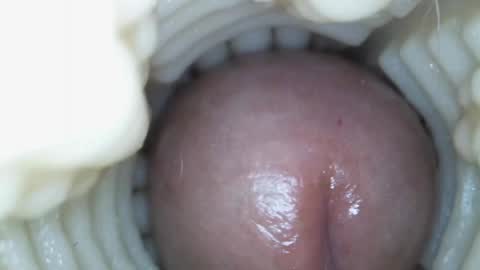 xoxowtf online show from March 15, 5:41 pm