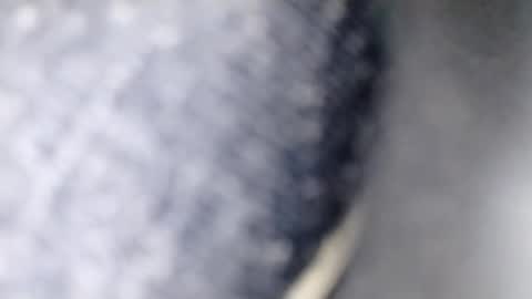 xploid1982 online show from December 17, 1:33 am