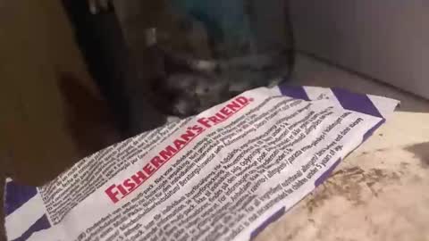 Snapshot of xvoyeur2011x chatting on April 3, 7:34 pm xvoyeur2011x online show from April 3, 7:34 pm