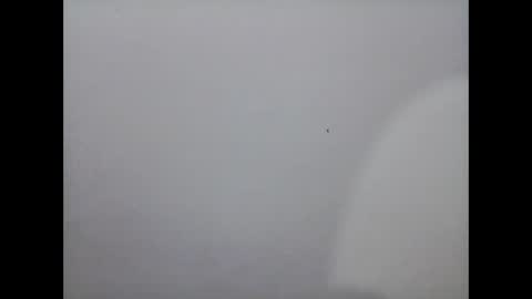 Mariel online show from December 2, 12:07 pm