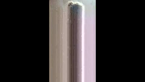 xxjessiebugxx online show from May 20, 2:40 am