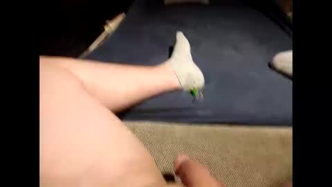 Antonio del Pa ero online show from March 19, 11:31 pm