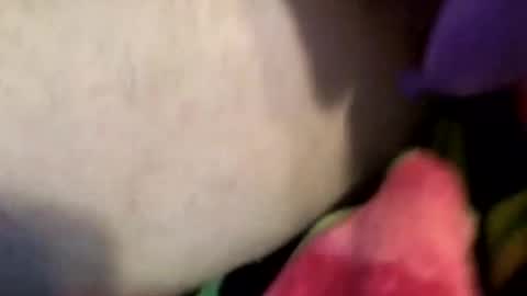 XxXCoupleOrgasmicXxX online show from April 4, 7:00 pm