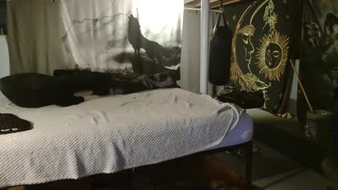 xxxjrstrokesxxx online show from September 20, 6:20 pm