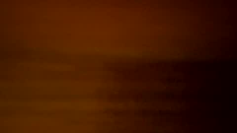 Snapshot of yacht3oy chatting on December 3, 9:00 am yacht3oy online show from December 3, 9:00 am