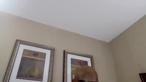 Snapshot of yallfavoritecouple chatting on April 8, 4:45 am YallFav0rit3couple online show from April 8, 4:45 am