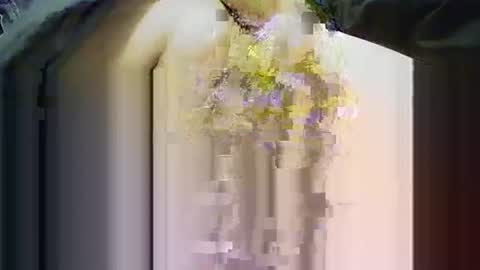 yangolox3 online show from November 14, 3:55 pm