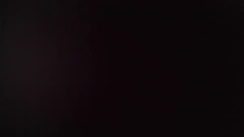 Snapshot of yayalaledetaill chatting on January 27, 5:48 pm MisterCasquette online show from January 27, 5:48 pm