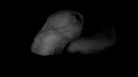 Snapshot of yeasayer004 chatting on October 8, 1:25 am yeasayer online show from October 8, 1:25 am