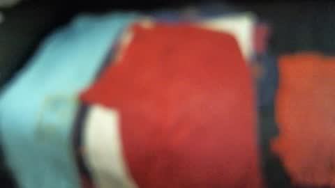 .     y e l l o w s n a k e s       . online show from November 13, 12:42 am