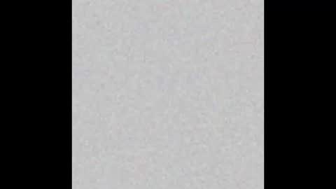 .     y e l l o w s n a k e s       . online show from November 20, 3:50 am