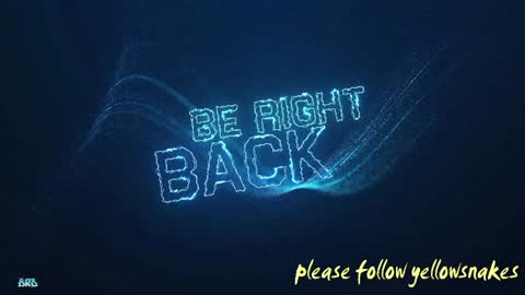 .     y e l l o w s n a k e s       . online show from December 5, 6:00 am