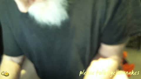 .     y e l l o w s n a k e s       . online show from January 14, 1:50 pm