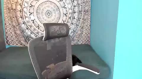 YourVenus00 -Follow my OF online show from July 2, 11:38 am