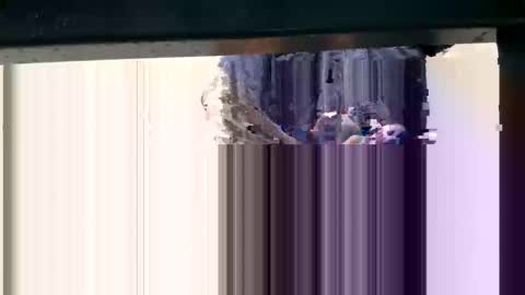 Snapshot of yungcockk444 chatting on October 8, 11:57 pm hungggg online show from October 8, 11:57 pm