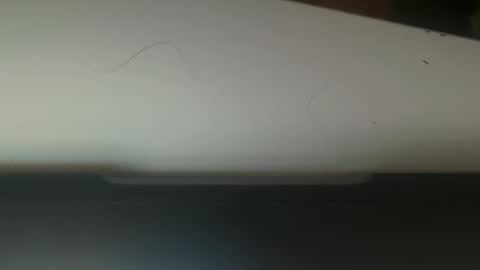 zachbundy online show from November 1, 8:49 am