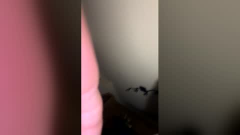 Snapshot of zachmurphbigboy chatting on March 1, 3:41 am zachmurphbigboy online show from March 1, 3:41 am