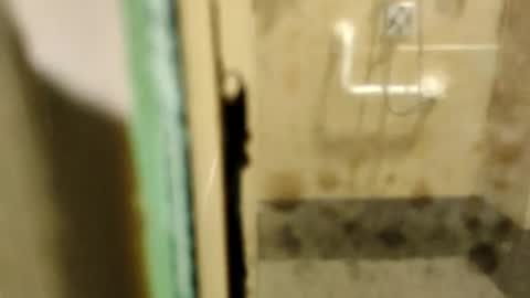 Snapshot of zaidmlake199 chatting on February 9, 1:53 am ZUL online show from February 9, 1:53 am