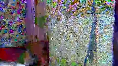 Snapshot of zarinamarlin chatting on April 9, 7:03 am zarinamarlin online show from April 9, 7:03 am