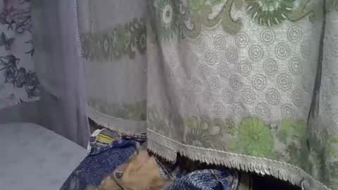 Snapshot of zarinamarlin chatting on May 5, 6:21 am zarinamarlin online show from May 5, 6:21 am