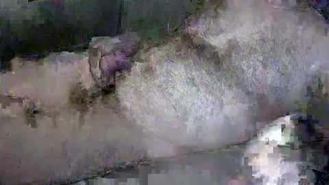 zepincam online show from October 13, 5:18 am