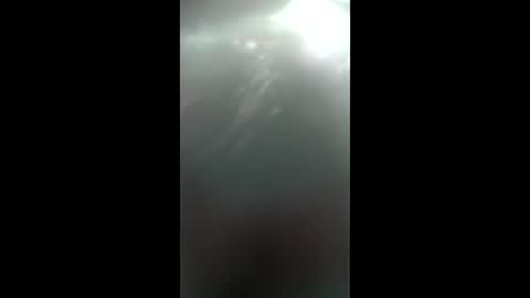 zigfoxkiuoid online show from April 5, 6:10 am