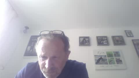 Zippi online show from July 17, 1:29 pm