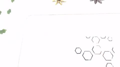 Carolina online show from January 12, 8:25 pm