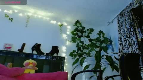 zoemi online show from January 24, 1:45 am