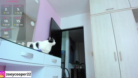 zoey  Independent model online show from November 12, 1:39 am