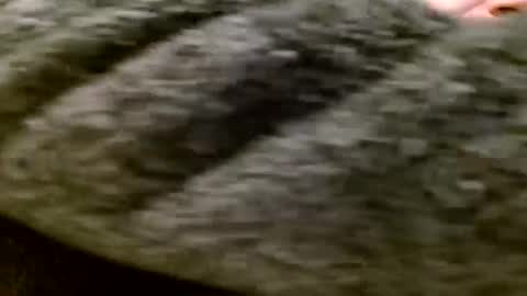 Snapshot of zolexthomas chatting on January 28, 5:35 pm zolexthomas online show from January 28, 5:35 pm