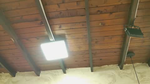 zoley  online show from October 6, 3:04 am