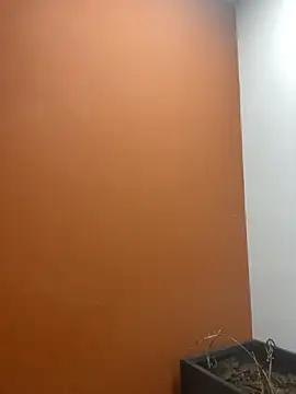 Snapshot of YesTheSexiest chatting on November 11, 9:20 am YesTheSexiest online show from November 11, 9:20 am