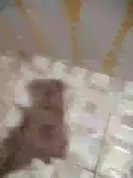 Snapshot of Sanjaymartin29 chatting on January 16, 1:37 am Sanjaymartin29 online show from January 16, 1:37 am