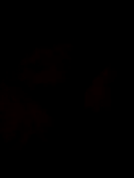 Sanny212 online show from December 9, 12:40 pm