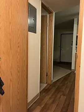 Snapshot of BustiBunny69 chatting on December 22, 3:11 am BustiBunny69 online show from December 22, 3:11 am