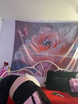Snapshot of DominiqueX0 chatting on February 20, 9:04 pm DominiqueX0 online show from February 20, 9:04 pm