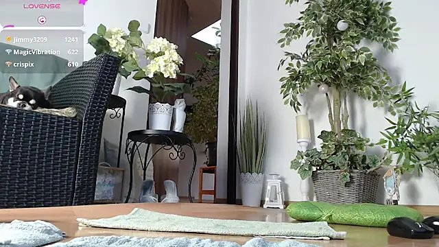 Squirtmania online show from January 1, 7:20 am